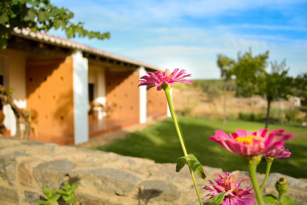 Melrinitas Turismo Rural Hotel Serpa Luaran gambar
